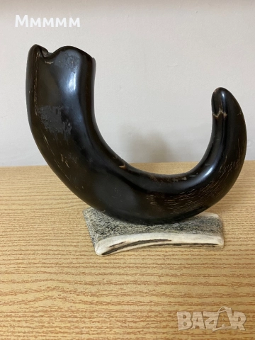 Рог за декорация, снимка 2 - Други ценни предмети - 52528456