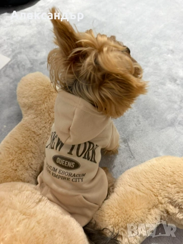 Якета за малки породи кучета, снимка 4 - За кучета - 53423515