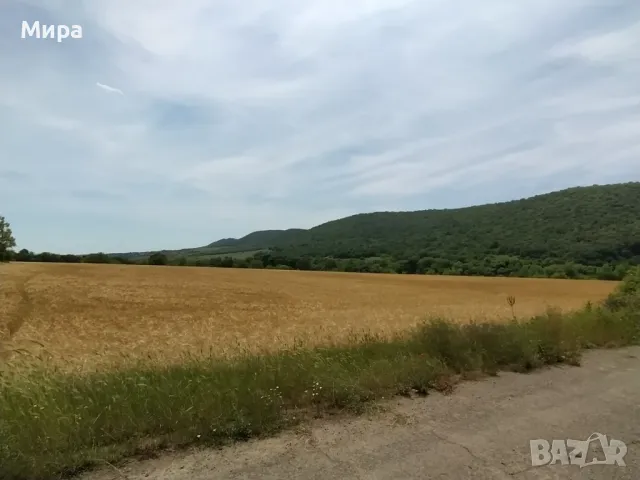 УПИ до Помпената станция, с. Медово, Поморие, снимка 4 - Парцели - 22061034