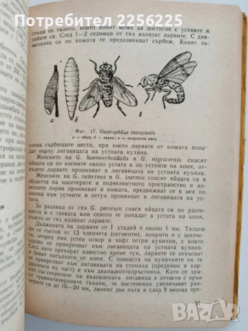 Ветеринарна ентомология и дезинсекция, снимка 3 - Специализирана литература - 52442198