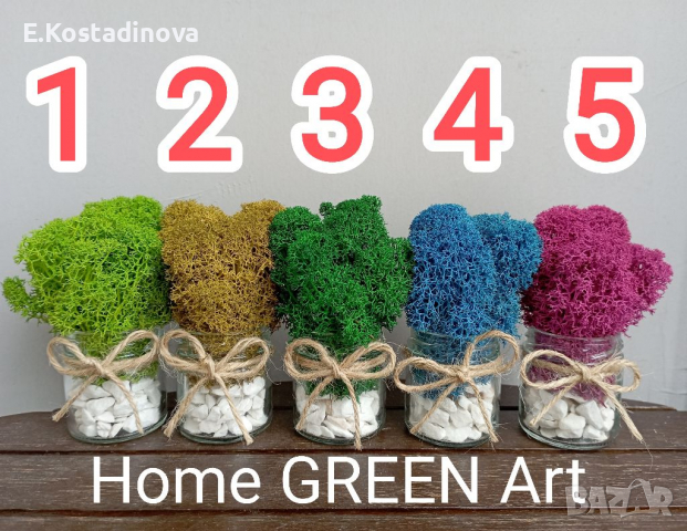 Подаръчета за гости / Декорация за дома със скандинавски мъх , снимка 2 - Декорация за дома - 33927542