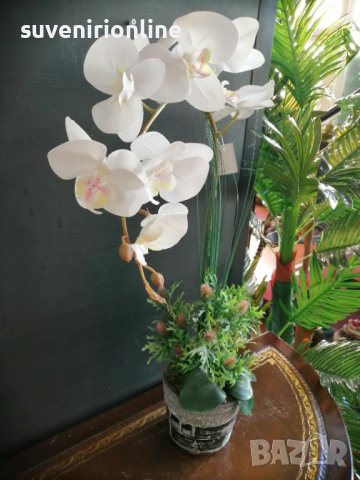 Изкуствена орхидея в кашпа, снимка 3 - Изкуствени цветя - 38256825