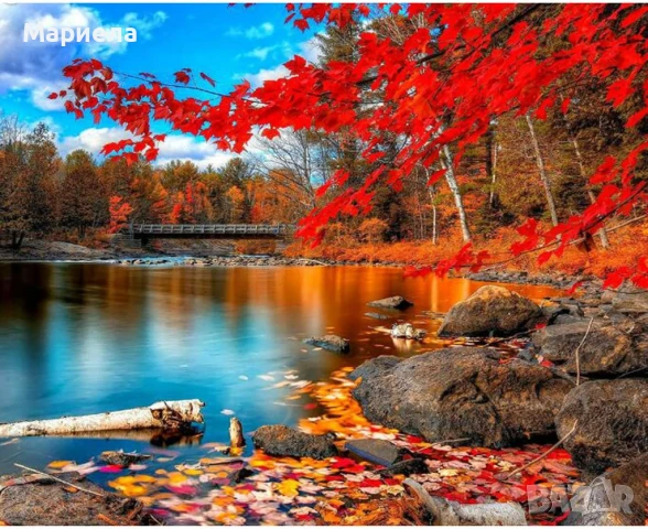 Комплекти за диамантена живопис TOCARE за възрастни с клен, есенен диамантено изкуство за възрастни