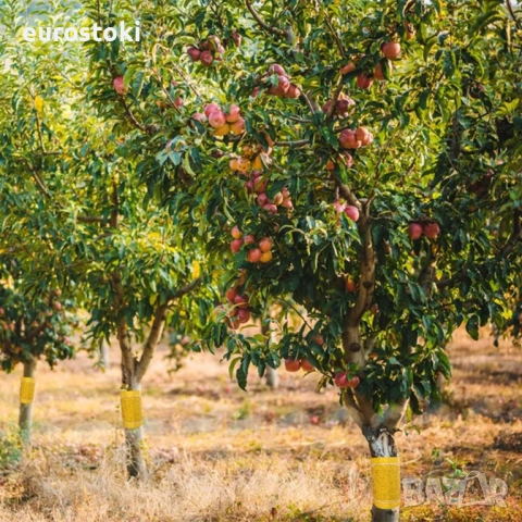 Caterpillar  3 метра, жълти самозалепващи се ленти, с лепило срещу гъсеници, мравки, снимка 6 - Други - 51840433