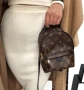 Louis Vuitton мини раничка, снимка 1