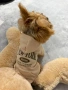 Якета за малки породи кучета, снимка 4