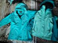 Пролетно яке, снимка 3