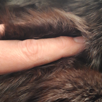 Палто от Лисица естествена козина, снимка 7 - Палта, манта - 44852386
