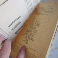 Стара книга Десертното грозде като храна и цяр 1927 год, снимка 3 - Специализирана литература - 32558306