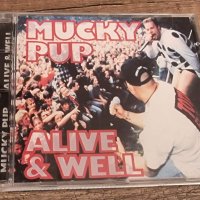 Компакт Дискове - Рок - Метъл: Mucky Pup – Alive & Well, снимка 1 - CD дискове - 43640815
