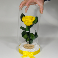 Вечна роза в ГОЛЯМА стъкленица / Оригинален Подарък за Жена / Подарък за Приятелка/ Жълта Вечна Роза, снимка 6 - Подаръци за сватба - 36455119