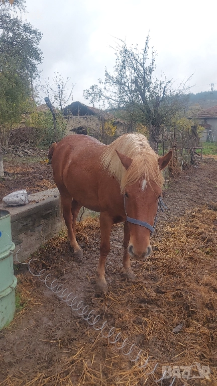 преговори, снимка 1