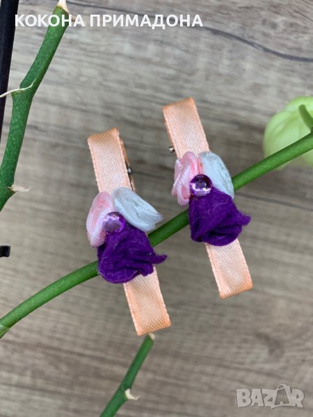 Фиби, снимка 1