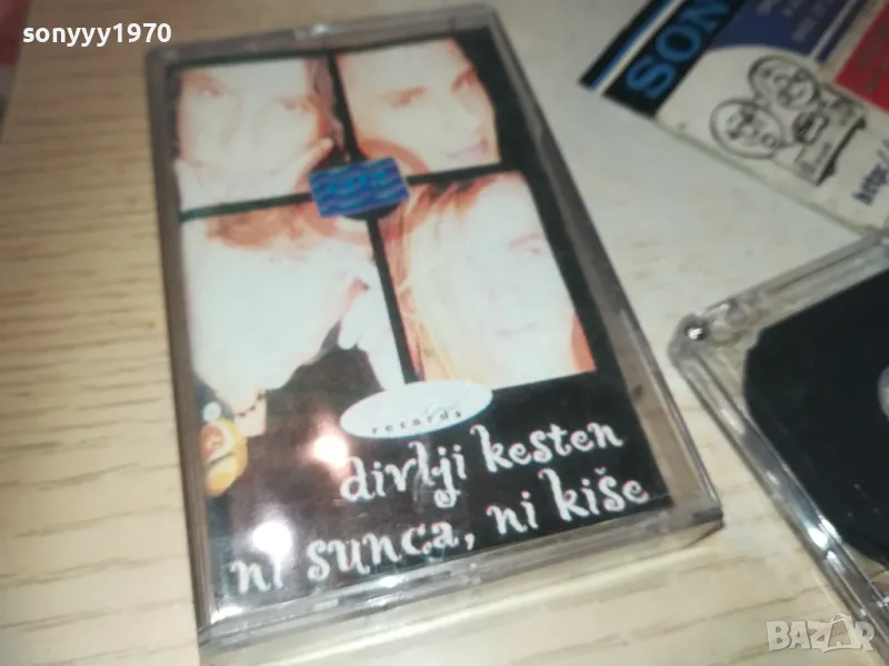 DIVLJI KESTEN-TAPE 0110241010, снимка 1