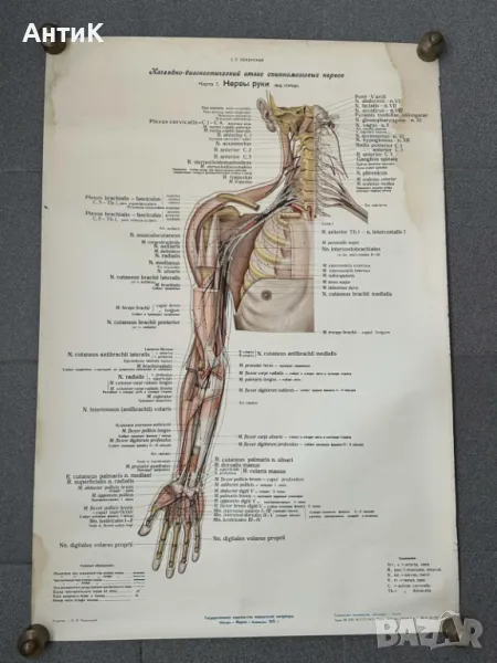 Комплект Соц Медицински Плакати 1951 година, снимка 1