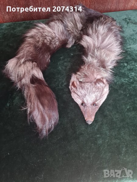 Яка от лисица, снимка 1