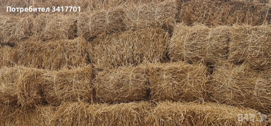 слама от овес, снимка 1