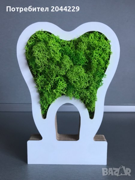3D "Зъбче" със скандинавски мъх, снимка 1