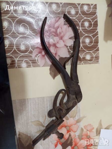 Чепрализа, снимка 1