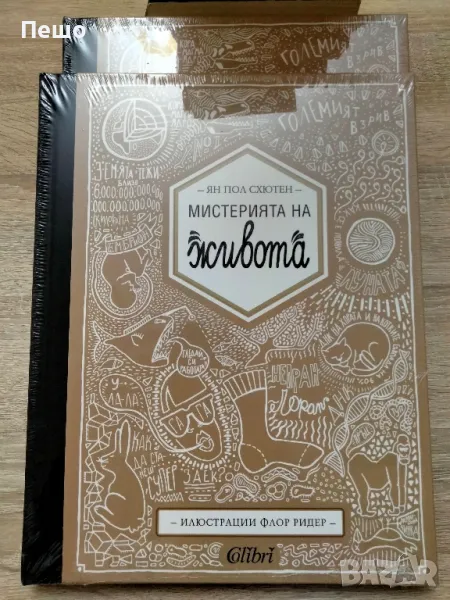 Мистерията на живота - Ян Пол Схютен, снимка 1