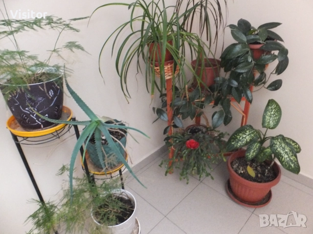 Fujifilm FinePix F770EXR   16 MPx, снимка 16 - Фотоапарати - 52836329