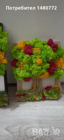 Дърво от скандинавски мъх в рамка, снимка 18 - Декорация за дома - 47986453