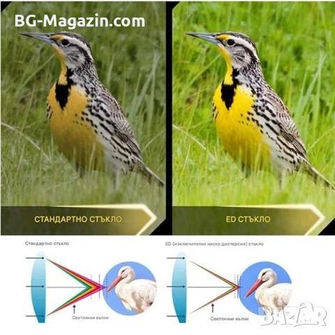 Мощен бинокъл Olympus 10×50 DPSI за наблюдение на птици животни лов далечни разстояния олимпус, снимка 4 - Екипировка - 50931086