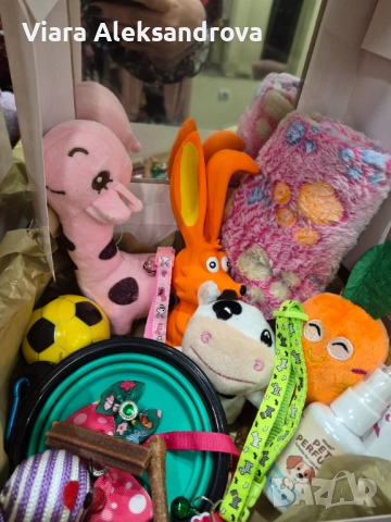 Подаръчни кутии за домашните ни любимци, снимка 5 - За кучета - 52578675