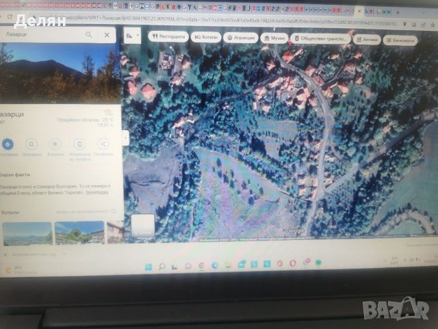 Пчелен прашец от Еленския балкан. , снимка 2 - Пчелни продукти - 37700166