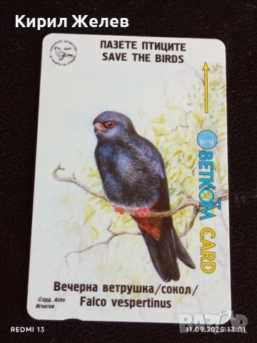 Три фонокарти БЕТКОМ тема БУХАЛ,СОКОЛ,СИНИГЕР 14907, снимка 10 - Колекции - 51677590