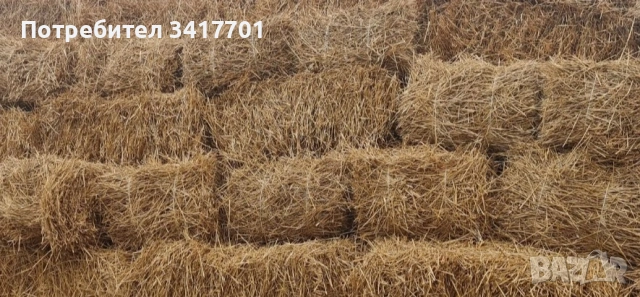 слама от овес