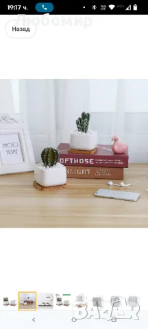 T4U Саксии за сукуленти, Саксии с бамбукови чинийки, Правоъгълен керамичен контейнер за кактуси

, снимка 6 - Декорация за дома - 49743229