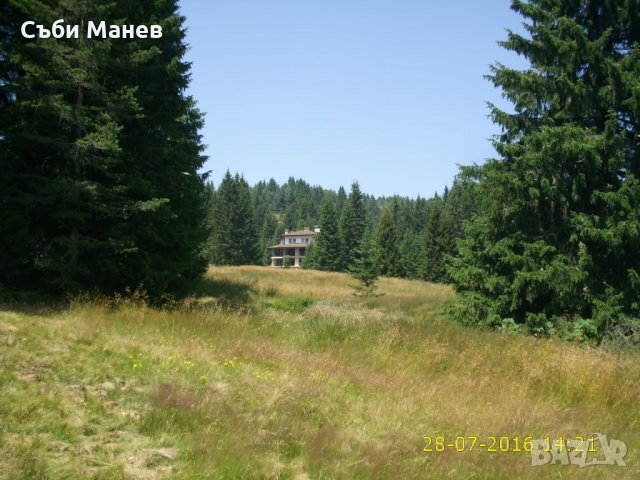 Продавам парцел на Хайдушки поляни.🌲, снимка 4 - Парцели - 19446034