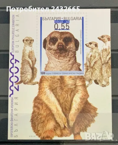 2407. България 2008 = БК: 4838 “ Фауна. Сурикат. 120 год. Софийски зоопарк.”, **, MNH, снимка 1