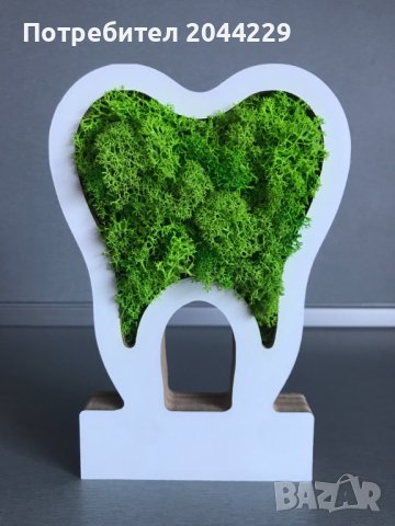3D "Зъбче" със скандинавски мъх