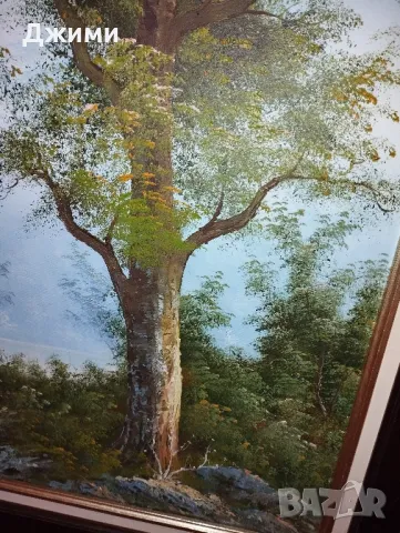 красиви различни картини, снимка 6 - Антикварни и старинни предмети - 48481281