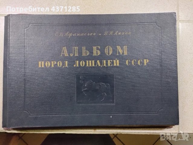 Альбом пород лошадей СССР - С.В.Афанасьев"1953  книга , снимка 5 - Художествена литература - 49216088