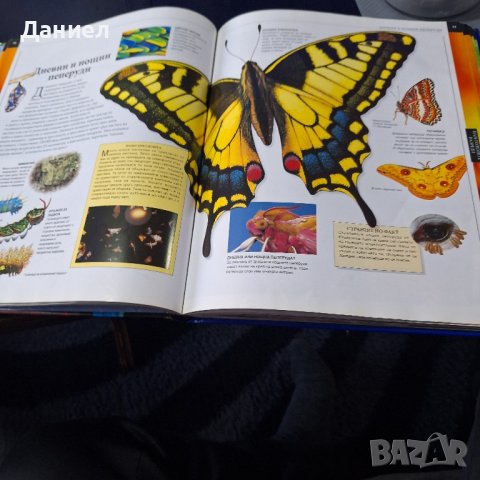 Голяма детска инциклопедия животни, снимка 3 - Други - 44129355