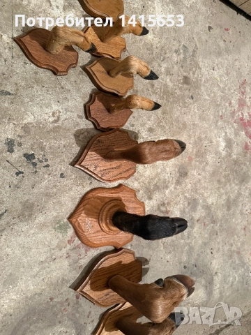 Продавам дървени закачалки, снимка 5 - Други ценни предмети - 52502508