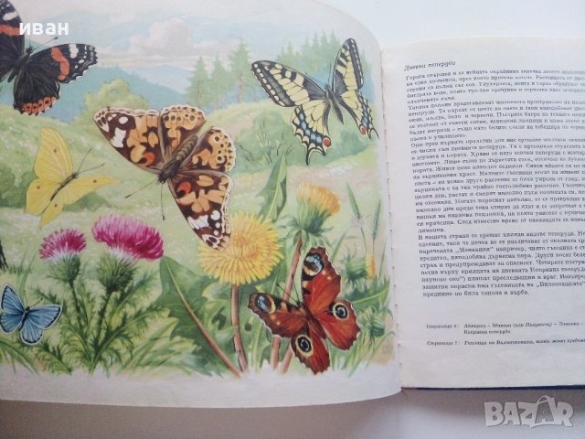 Чудеса на природата - З. Зорге, Х. Шрайер - 1971г., снимка 5 - Детски книжки - 43089663