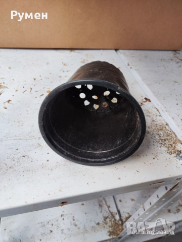 Кофички за разсад, снимка 2 - Градински цветя и растения - 51921215