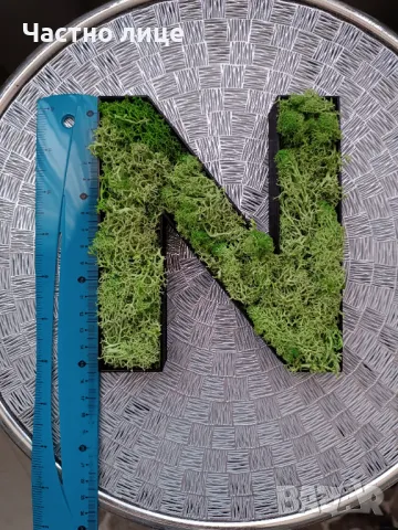 ЕЛИ/НЕЛИ със скандинавски мъх , снимка 6 - Изкуствени цветя - 47473801