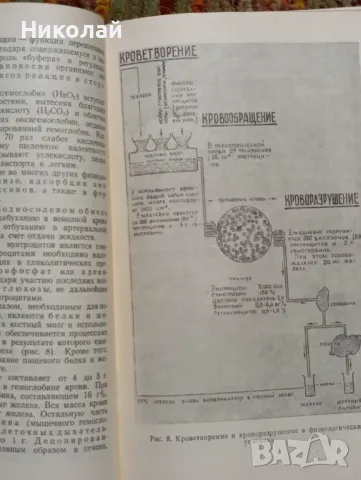 Анемии - професор Г. А. Алексеев, снимка 4 - Специализирана литература - 49365721