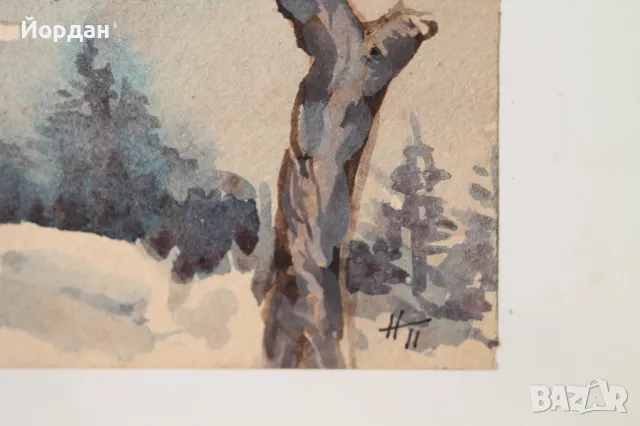 Акварел /автор-Никола Пилчев/ ''Старопланинска черешарка'', снимка 13 - Картини - 49131538