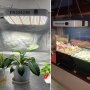 FRGROW 600W 2×2 фута LED лампа за отглеждане на растения, снимка 1