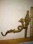 Стара ФИГУРАЛНА БРОНЗОВА РЕТРО ЗАКАЧАЛКА За ПОРТМАНТО / СТЕНА - МИТИЧНО АЗИАТСКО ЧУДОВИЩЕ 41404, снимка 8