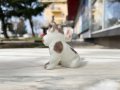 Мини порцеланова фигура на куче / кученца -  мини Шнауцер. №3655, снимка 3