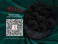 Истински Черни Вечни Рози в Черна Кадифена Кутия / Оригинален Подарък за Необикновена Жена, снимка 5