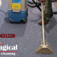 Професионално машинно пране на мокет и килими на адрес на клиента Добрич, снимка 6 - Пране на килими - 26313187