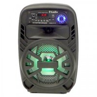 Караоке Тонколона PAudio-80, 8 инча с Bluetooth, Безжичен Микрофон, USB, SD Card, снимка 3 - Караоке - 27351794